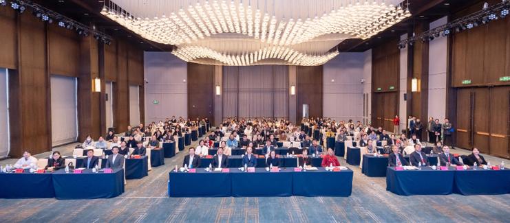 学术引领·技术下沉·机制创新——中国民族医药学会适宜技术推广分会2025年学术年会策划方案解析